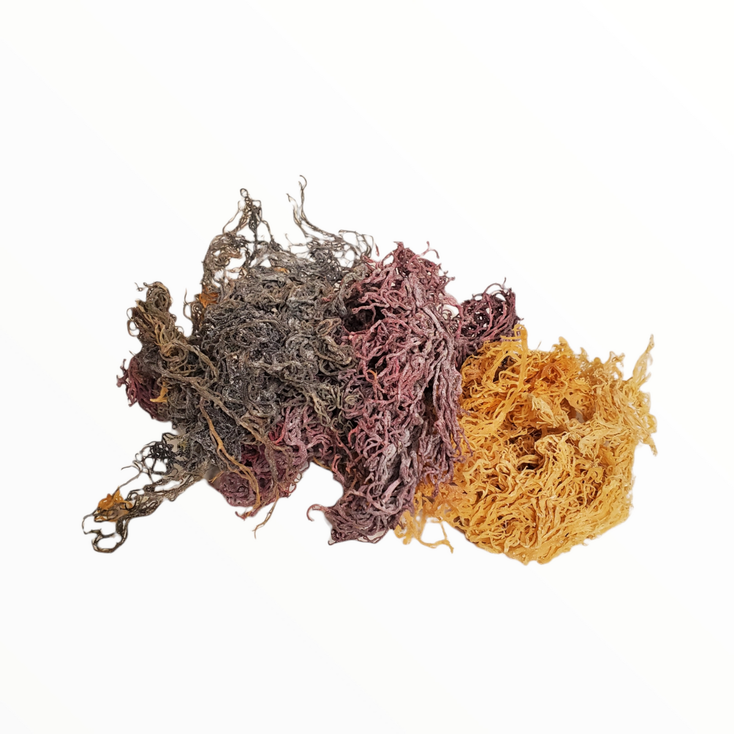 Raw Wholesale Sea Moss