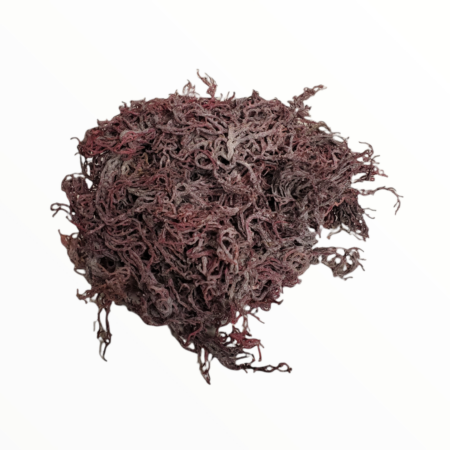 Raw Wholesale Sea Moss