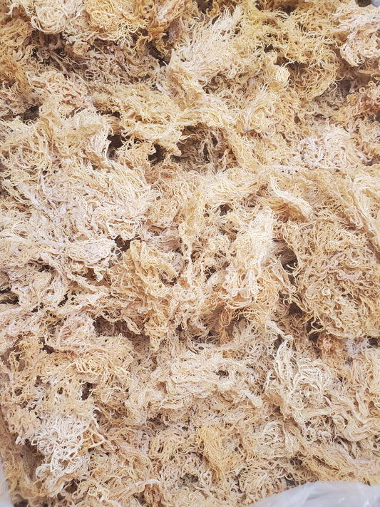 SEA MOSS BENEFITS