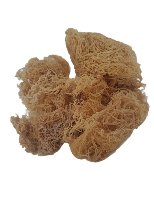 Raw Wholesale Sea Moss